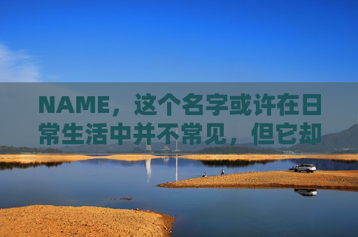 NAME，这个名字或许在日常生活中并不常见，但它却在某些领域里扮演着重要的角色。今天，让我们一起来探索这个名字背后的故事和意义